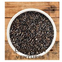 Double langues en vrac Marque Niger Seeds Guizotia Abyssinica Graine noire Exportateur et fournisseur 12 mois Durée de conservation Origine Inde