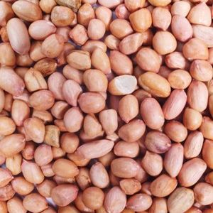 Wholesale High Quality Organic <strong>Peanut</strong> Kernels Fresh Roasted <strong>Peanuts</strong> <strong>in</strong> <strong>Shell</strong> Best <strong>Price</strong> for Raw Dried <strong>Peanuts</strong> Box Packaging - Product Image 4
