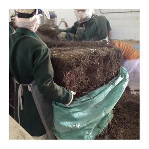 วุ้นหญ้าสีดำแบบพรีเมี่ยมจากเวียดนามรสชาติสดใหม่สำหรับเครื่องดื่มขนมหวานและชาบับเบิ้ล - Product Image 1