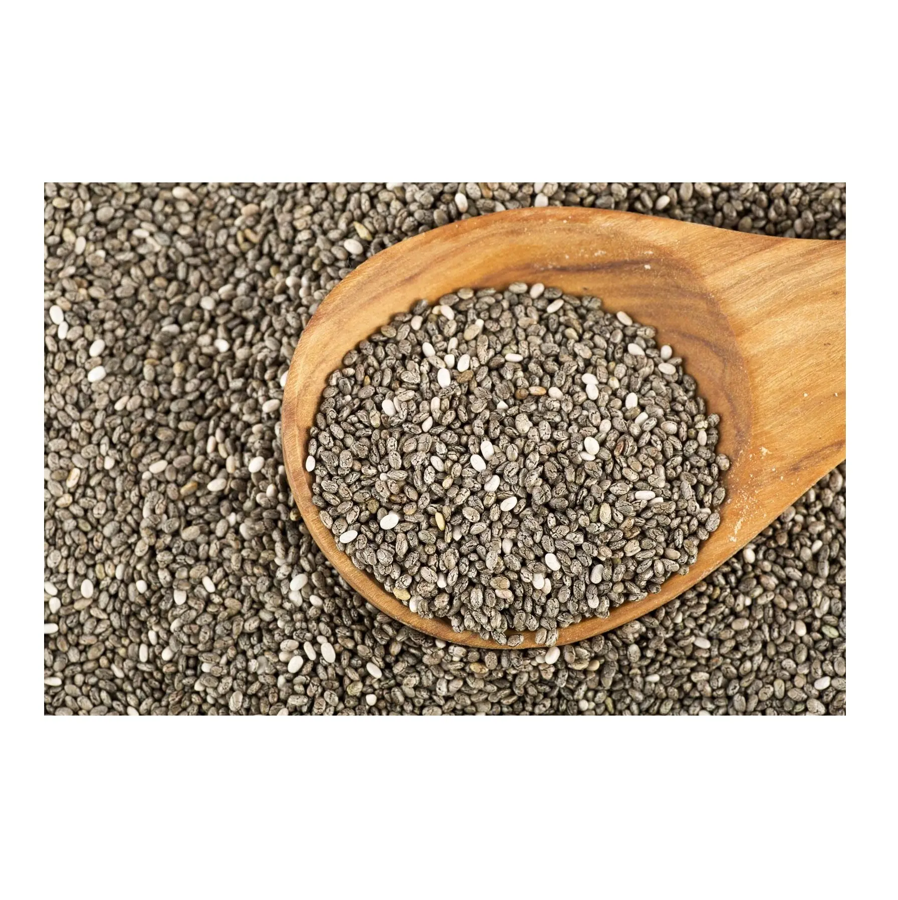 Wholesale Mexico Chia seeds raw material high purity good price