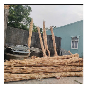 Canne en rotin naturel du Vietnam, fournisseur en gros pour les usines d'artisanat et les articles de décoration intérieure - Product Image 2