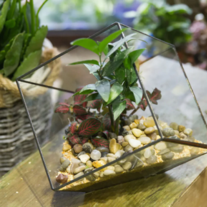 Venta al por mayor de diseño contemporáneo de oro diamante terrario cubo geométrico flor pantalla jarrón de mesa para fines decorativos - Product Image 4