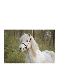 Bridons de cheval en cuir personnalisables de haute qualité, surpiqûres fantaisie pour l'équitation et les courses disponibles - Product Image 6