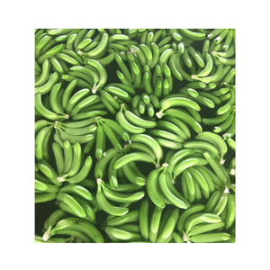 100% plátanos verdes largos de plátano Cavendish frescos naturales con pegatina personalizada para exportación - Product Image 1