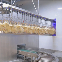 Équipement d'abattage de lapins Raniche Ligne d'abattage de lapins Équipement d'abattoir de lapins