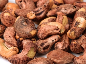 สินค้ายอดนิยม เปลือกมะม่วงหิมพานต์ราคาถูกจากเวียดนามส่งออกจํานวนมาก / เปลือกมะม่วงหิมพานต์เพื่อทําน้ํามันและปุ๋ยคุณภาพ - Product Image 5