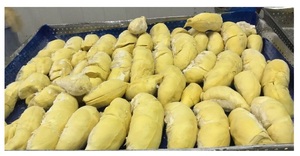 Frozen Durian Premium du Vietnam pour l'exportation avec un prix compétitif-Top Products Hot Selling 2025 - Product Image 3