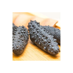 Nuevo Suministro de Fábrica, Polvo de Pepino de Mar de Bélgica, 24 Meses de Duración - Product Image 4