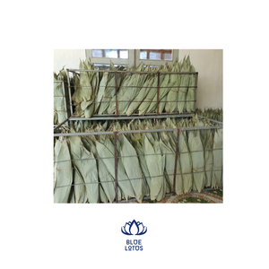 Feuilles de bambou séchées Feuilles de bambou grises entières séchées de Lotus bleu du Vietnam à un prix bon marché - Product Image 1