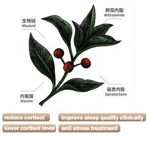 Capsules d'Ashwagandha, extrait pur d'Ashwagandha soluble dans l'eau, cultivé à l'état sauvage, lactone d'aubergine ivre, 500g, marque YM, <span class=keywords><strong>SAIER</strong></span> BIOTECH - Product Image 2
