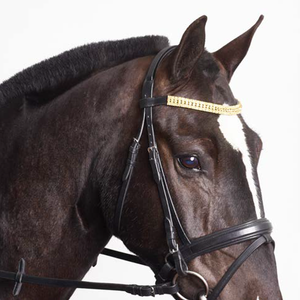 Venta al por mayor de alta calidad de cuero de caballo Brida de cuero de caballo Precio al por mayor Brida de cuero de caballo 2018 Venta caliente - Product Image 3