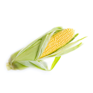 Nueva cosecha de maíz amarillo a granel brasileño, maíz amarillo seco para alimentación de aves de corral de animales humanos, Grado A para consumo - Product Image 6