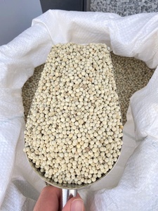 Pimienta blanca natural/exportación de alta calidad de Vietnam al precio más barato - Product Image 5