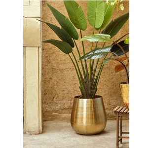 Jardinière en métal fini classique à prix abordable décoration de jardin accessoires d'intérieur et d'extérieur pot de fleurs - Product Image 5