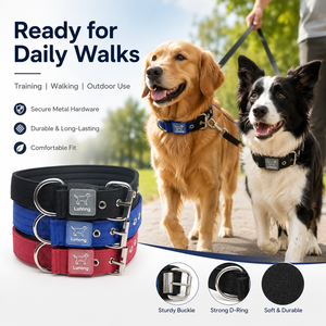 Coleira de Cão de Nylon Personalizada com Logo, Acolchoamento Macio em Neoprene, Fivela de Metal Ajustável, 3 Cores, Acessórios para Animais de Estimação em Atacado - Product Image 2