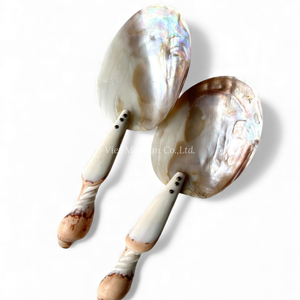 Cuchara de Nácar Natural para Postre, Yogur y Caviar, Hecha a Mano en Vietnam - Product Image 1