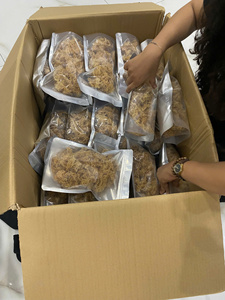 Cottonii seamoss สาหร่ายทะเลแห้งจากธรรมชาติที่เก็บเกี่ยวได้จากเวียดนาม cottonii seamoss สำหรับการส่งออก euma cottonii 99GD - Product Image 5