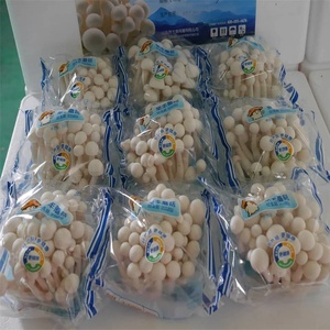 Wholesale of High-quality Wild Food Grade Freeze Dried Mushroom Extract <b>Powder</b> in <b>Bulk</b> - Product Image 1