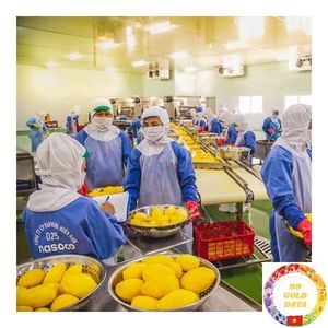 Mango congelado Vietnam IQF Rodajas maduras dulces Embalaje a granel para licuadora de jugo Fabricantes de batidos - Product Image 2