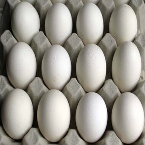 ไข่ไก่ขาวสดและไข่ไก่แช่แข็งจากสหราชอาณาจักร ราคาโรงงาน ขาย - Product Image 1
