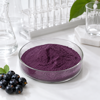100% Natuurlijk Ribes Nigrum Fruit Vriesgedroogd Poeder/ Zwarte Bessen/ Zwarte Bessenpoeder