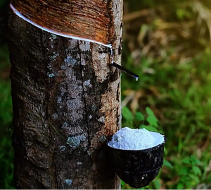 Factory Price High QualityNatural Rubber <b>Latex</b> 60% Molding Grade with Chemical Resistance and Aging Resistance Wholesale Price - Product Image 6