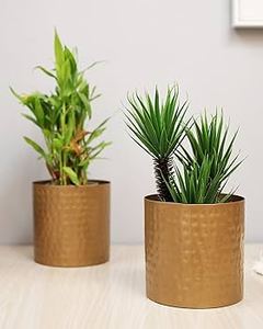 Ensemble de 2 pots de fleurs modernes et élégants en métal doré pour hôtels et jardins, vase décoratif pour la maison, accessoires de décoration - Product Image 5