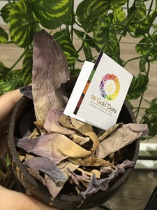 Matériau décoratif naturel de fleur de lotus séché du Vietnam de qualité supérieure pour mélanges de thé Design floral aromatique - Product Image 2