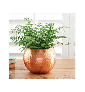 Pot de fleurs en métal de forme ronde de qualité supérieure pour la décoration de vaisselle parfait pour les jardinières de fleurs décoratives intérieures et extérieures - Product Image 5