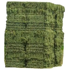Heno de alfalfa para alimentación animal y el mejor forraje para animales de ganado Alimentación animal de alta calidad - Product Image 3