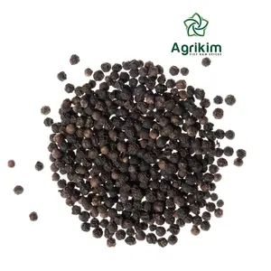 2024 Professional Supplier Of Black Pepper Bulk dried whole black pepper from Vietnam