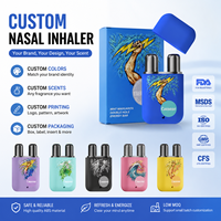 Inhalateur Nasal Personnalisé avec Logo Gratuit en Gros - Bâtonnet Nasal de Haute Qualité à Double Trou en ABS + Caoutchouc, Certifié ISO/FDA/MSDS