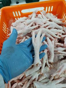 Boneless Skinless Chicken Breasts HALAL Certified Frozen -18C Storage 24-Month Shelf Life UK Origin Vacuum Pack Top Grade - Product Image 3