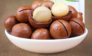 Noix de macadamia entières grillées en coque salées croustillantes |   Fournisseur OEM au Vietnam - Product Image 5