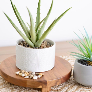 Bandeja básica de madera, portavelas de Pedestal de madera, bandeja de jabón, vajilla multifunción, decoración ecológica para el hogar para escritorios, venta al por mayor - Product Image 4