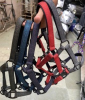 Licol de cheval à paillettes en nylon personnalisé avec selle anglaise Accessoires de participation de style équipement de cheval y compris la bride pour EquineCare