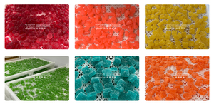 TGMachine2024 Línea de producción automática de gelatina gomosa de vitamina Pectina Gomitas sin azúcar Núcleo Componentes PLC Rodamientos Nuevo - Product Image 6