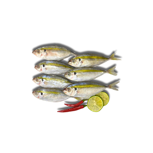 Thériaque jaune rayé entier congelé en vrac, qualité d'exportation, poisson IQF/BQF, longue durée de conservation, frais, Vietnam - Product Image 2