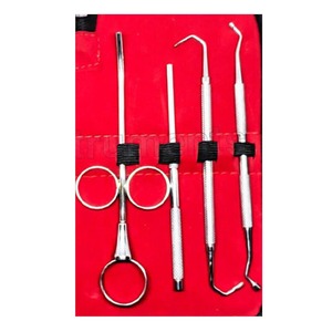 เครื่องมือทันตกรรมรากฟันเทียมเครื่องมือทำจากสเตนเลสสตีลได้รับการรับรองจาก CE - Product Image 4