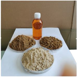 Poudre de protéine de ver de farine jaune dégraissée organique riche en acides aminés essentiels - Product Image 3