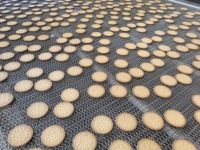 Coupe-biscuits rotatif manuel avancé, réglable et personnalisable pour machine à biscuits personnalisés, coupe-biscuits dur