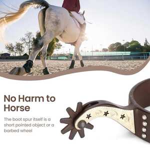 Venta al por mayor de espuelas de acero inoxidable cómodas Premium par de espuelas de equitación para entusiastas ecuestres - Product Image 3