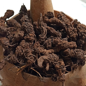 Nueva colección, producto de la mejor calidad, extracto de planta de hierba cruda seca de raíz de Tagar Natural saludable y puro a buen precio - Product Image 2