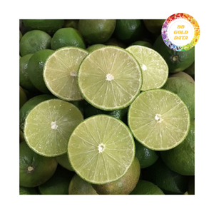 Limón y Lima sin semillas de Vietnam de alta calidad para exportación a granel Citrus Fresh Clean Packed Competitive Wholesale - Product Image 3