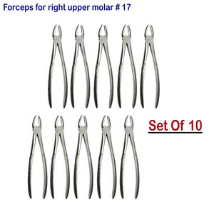 Pince d'extraction dentaire en acier inoxydable No.103 B8 Incision inférieure Prémolaire Forceps à motif américain - Product Image 6