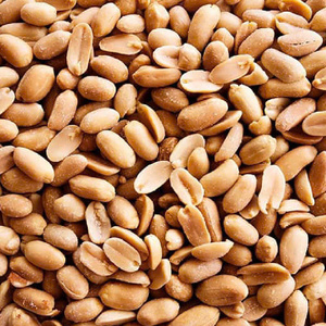 Organic Crispy Skinless Floured Dried <b>Peanuts</b> Kernel Natural Flavor Food Grade Snack Competitive Price Wholesale Kim Long - Product Image 4