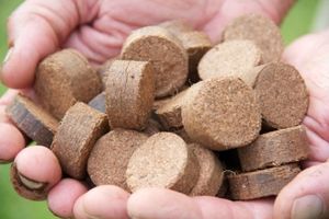 Vente en gros de granulés de coco de fibre de coco naturelle pour planter un arbre ou un légume facile à utiliser - Product Image 6