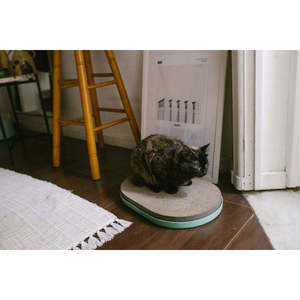 Rascador para Gatos Mint Tiragraffi, un Producto Premium en la Categoría de Árboles para Gatos - Product Image 4