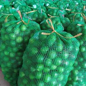 Citrons verts et jaunes frais, cultivés naturellement, fruits de citron de haute qualité en gros - Product Image 6