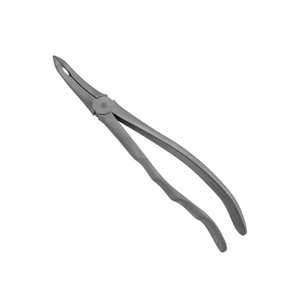 Forceps d'extraction, modèle anglais 3rd molaire supérieure par Ali Surgical CE ISO APPROUVÉ - Product Image 3